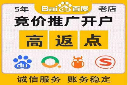 SEM投放策略：成功案例解析